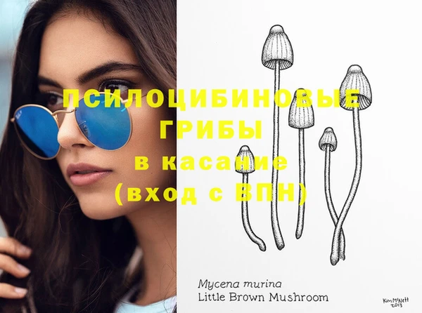 бутират Заводоуковск